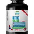 energy booster - NITRIC OXIDE 3150MG 1B - nitric oxide and muscle pump