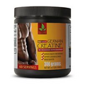 quick boost energy - GERMAN MICRONIZED CREATINE 300G - muscle gainer 1 CAN