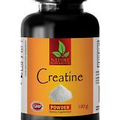 muscle building - CREATINE MONOHYDRATE POWDER 100g - Muscle mass - 1 Bottle