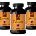 Echinacea Purpurea Powder Pills 400mg - Immune System Supplement - 3 Bottles