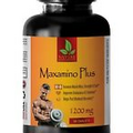 Body Building Supplements - MAXAMINO PLUS 1200 - Supports Workout 1B