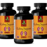 Urinary Tract Infection KIDNEY SUPPORT 700MG Pain Relief 3 Bottles 180 Capsules