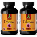 Nature Echinacea Herbal Root Extract - Immune System Health - 2 Bottles