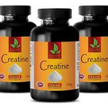 muscle growth - CREATINE MONOHYDRATE POWDER 300g - creatine powder - 3 Bottles