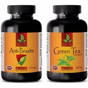 Parasite cleanse for humans organic - ANTI PARASITE – GREEN TEA COMBO -green tea