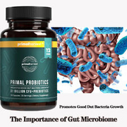 Prebiotics and Probiotics for Men and Women, 30 Oral Capsules for Gut Health