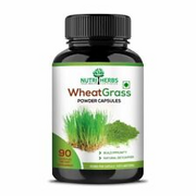 Nutriherbs 100% Natural & Pure Wheatgrass Extracts 800 Mg 90 Capsules