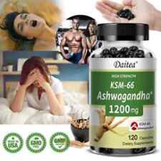 Ashwagandha KSM-66 Extract Reduces Anxiety and Stress, Dietary Supplement