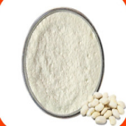 White Kidney Bean Concentrated 10:1 Extract Powder 500g