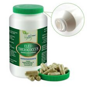 VITA IDEAL Vegan® ELEUTHEROCOCCUS - Root CAPSULES Taiga Root Senticosus Powder