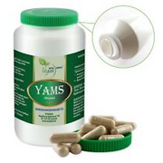 VITA IDEAL Vegan® Yams - Root CAPSULES - Dioscorea communis - Yam Root Powder