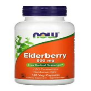 Now Foods Elderberry, Elderberry, 500 mg, 120 Vegetarian Capsules