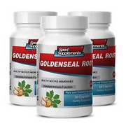 Goldenseal Plant - Goldenseal Root Hydrastis 520mg - Anti-Inflammatory Caps 3B