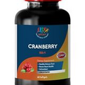 vitamin C supplement - CRANBERRY 50:1 EXTRACT - kidney and gallbladder 1 Bottle