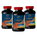 Weight loss pills - L-CARNITINE 3B 90Tabs - carnitine bulk