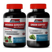 antioxidant powder - HOODIA GORDONII – GREEN COFFEE EXTRACT COMBO 2B - hoodia ca