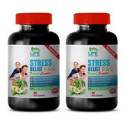 digestion food vitamins - STRESS RELIEF B & C - immune support for adults 2 BOTT