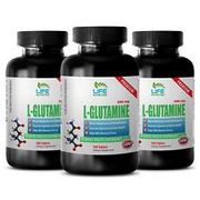 glutamine for brain health - PREMIUM L-GLUTAMINE 500mg 3B - muscle building supp