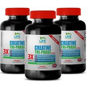 protein metabolism - CREATINE TRI-PHASE 5000mg 3B - creatine capsules