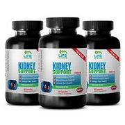 premium blend for kidneys - PREMIUM KIDNEY SUPPORT 700mg 3B - green tea extract