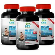 Clinically Tested Ingredients - Muscle Builder XXL 1500mg - Nitric Oxide 3B