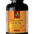 Chondroitin Glucosamine MSM - GLUCOSAMINE CHONDROITIN & MSM - Stronger Muscle 1B
