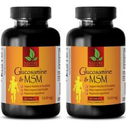 Vitamin C Powder - GLUCOSAMINE CHONDROITIN & MSM - Shock Absorbing 2B