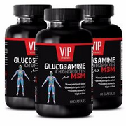 Muscle growth supplements - GLUCOSAMINE & MSM COMPLEX 3232MG 3B - msm drops