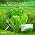 Barley Sante Barley Grass Products New Zealand Certified Pure Organic (1pc)