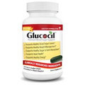 Glucocil Total Blood Sugar Optimizer Promotes Healthy Blood Sugar Level 120CT