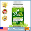 Organic Sea Moss Gummies 1200mg - Irish sea Moss,Bladderwrack,Burdock Root