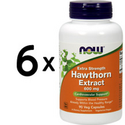 (270 g, 449,64 EUR/1Kg) 6 x (NOW Foods Hawthorn Extract, 600mg Extra Strength -
