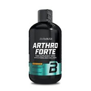 BioTechUSA Arthro Forte, Orange - 500 ML