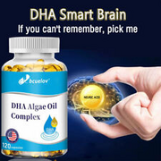 DHA-Algenöl 375 Mg Kapseln Enthalten 40 % DHA, Leinsamenöl Und 50 % ALA