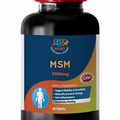 muscle builder - MSM 1000MG 1B - msm adapt pack