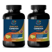 blood sugar control supplements - GARCINIA CAMBOGIA - fat burn abs 2 BOTTLE