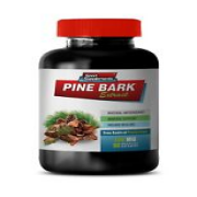 cleanse detox - PINE BARK EXTRACT 100MG - rich in vitamins and minerals (1B)
