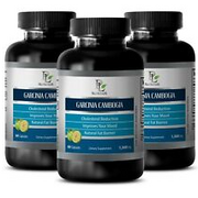 fat burn for women - GARCINIA CAMBOGIA - energy boost supplement 3B