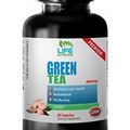 Green Tea Nature - Green Tea Extract 300mg - Supreme Weight Loss Capsules 1B