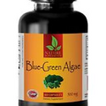 antioxidant optimizer - ORGANIC BLUE GREEN ALGAE - brain supplement 1 BOTTLE