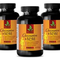 Glucosamine & Chondroitin - GLUCOSAMINE CHONDROITIN & MSM - Healthy Joints 3B