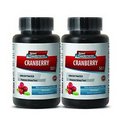 Bladder Health - Cranberry Extract 50:1 - Naturals Urinary Health Supplement  2B