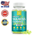 Organic Sea Moss Gummies - Bladderwrack, Burdock Root,Apple Cider Vinegar 60PCS