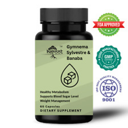 Gymnema Sylvestre with banaba 500 mg healthy metabolism weight magagement 60 cap