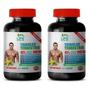 Testosterone Booster TRIBULUS TERRESTRIS 45% Male Performance 2 Bottles 200 Caps