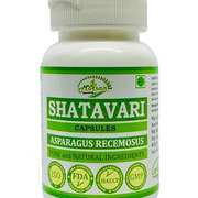 Shatavari (Asparagus Racemosus) Capsules by Morsan Nutraveda, Pack of 60 Vegetarian Capsules 500 mg. Each Ayurvedic Herbal Supplement (Pack of 1 x 60 Caps.)