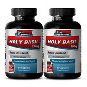 Lower Cholesterol - Holy Basil Extract 750mg - Herb Could Cleanse The Body 2B