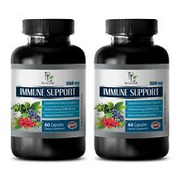 immune defense vitamins - IMMUNE SUPPORT COMPLEX - green tea leaves 2B