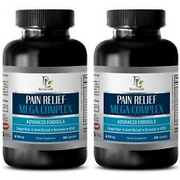 pain relief stimulator - PAIN RELIEF MEGA COMPLEX 610MG 2B- green tea