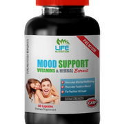 boost your mood - MOOD SUPPORT FORMULA - anti inflammatory advanced 1 BOTTLE